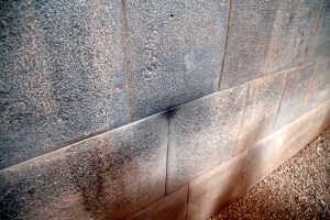 The black spot is a tiny stone.