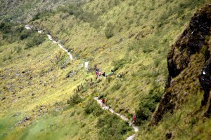 The hikers look like tiny ants!
