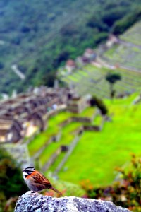 Chilling with this bird.